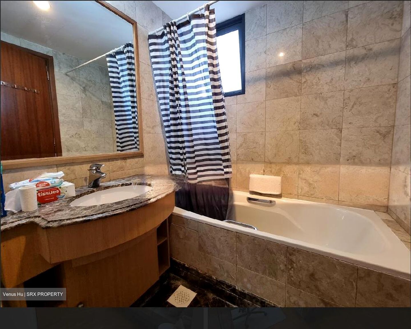 Tanglin View (D3), Condominium #502593701